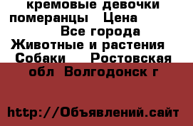 кремовые девочки померанцы › Цена ­ 30 000 - Все города Животные и растения » Собаки   . Ростовская обл.,Волгодонск г.